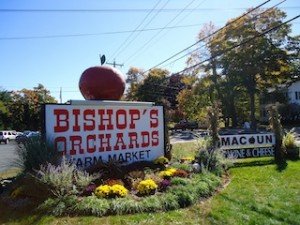 Bishop's Orchard photo