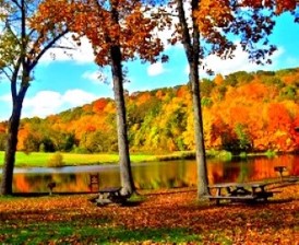 Image of fall trees overlooking water