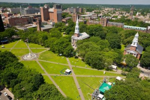 new haven green picture