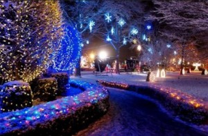 winter-lights-image