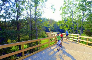 Image of biking trail with family riding bikes