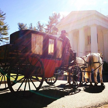 Horse-Carriage-Ride-In-CT-Image